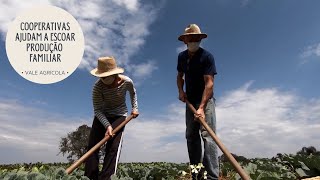 A importância das cooperativas para escoar a produção da agricultura familiar [upl. by Yeruoc386]