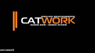 Catwork Remix Engineers  Insomnia [upl. by Maurilla848]