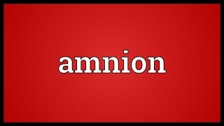 Amnion Meaning [upl. by Anim]