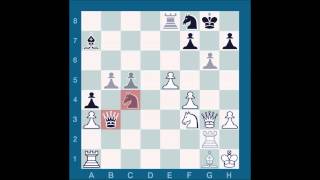 Chessmaster GME Schwartzman G vs Waitzkin J [upl. by Alram]