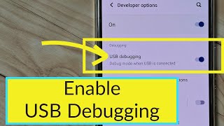 Vivo Phone How to Enable USB Debugging Mode [upl. by Sudhir638]