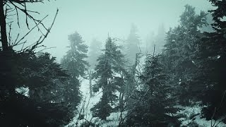 Snowstorm Blizzard Wind Sounds For Sleeping Relaxing  Calm Snow Arctic Howling Winter Ambience [upl. by Jeffrey]