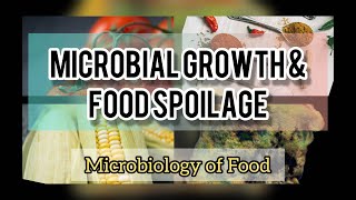 MICROBIAL GROWTH amp FOOD SPOILAGE  FOOD MICROBIOLOGY  BIOLOGY UNIVERSITY [upl. by Nolava]