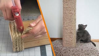 DIY Cat Scratching Post [upl. by Aicats]