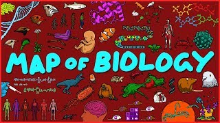 Map of Biology [upl. by Devonna]