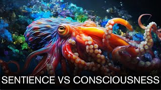 The Difference Between Consciousness and Sentience [upl. by Beichner]