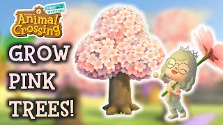 🌸 Animal Crossing New Horizons Pink Trees 🌸 [upl. by Kohn]