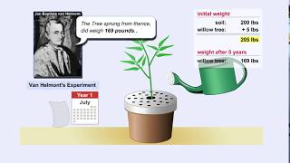 Photosynthesis and Van Helmont Experiment [upl. by Doreen]