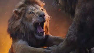 Simba Exposes Scar Scene  THE LION KING  Movie Scene 2019 [upl. by Cloutman]