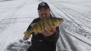 Lake Cascade Ice Perch [upl. by Naryt673]