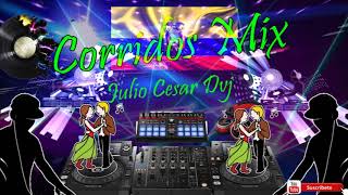 corridos mix bailable pepas [upl. by Elodie]