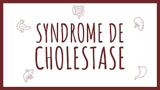 Sémiologie Hépatique  Syndrome de Cholestase [upl. by Wieche384]