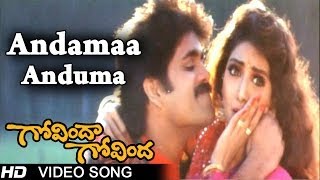 Govinda Govinda Movie  Andamaa Anduma Video Song  Nagarjuna  Sridevi  shalimarcinema [upl. by Munroe376]