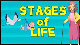 Stages of Life  Vocabulary  Minimal English [upl. by Nazler81]