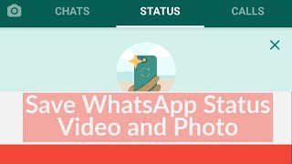 How to Download Whatsapp Status Video and Photo Without Any App  Save Whatsapp Status in Gallery [upl. by Einafit212]