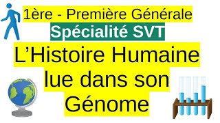 Lhistoire humaine lue dans son génome  Spécialité SVT 1ere [upl. by Mamie]