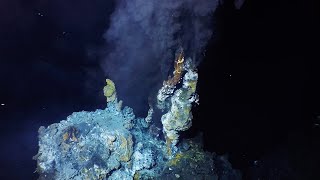 What are hydrothermal vents [upl. by Buchanan645]