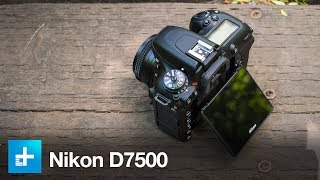 Nikon D7500  Hands On Review [upl. by Lardner]