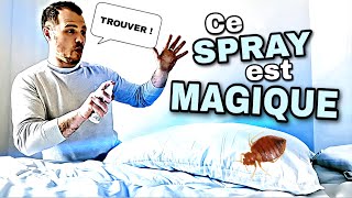 Comment trouver les PUNAISES DE LIT  en 3 sec [upl. by Boice]