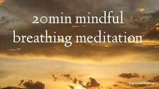 20min mindful breathing meditation  relaxation  stress relief [upl. by Chaunce]