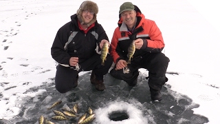 Ice Fishing for Perch  How to Catch Perch Through the Ice [upl. by Ardnasal]