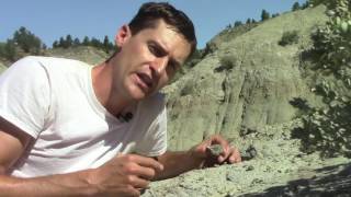 32 How We Identify Fossils [upl. by Camden]