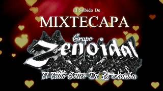 La Cumbia Mixtecapa 2023 Grupo Zenoidal [upl. by Marutani24]