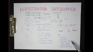 HIPOTENSIÓN ORTOSTÁTICA definición fisiopatología tratamiento [upl. by Mot]