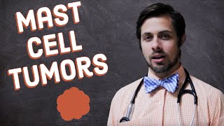 Mast Cell Tumors in Dogs [upl. by Ariik96]