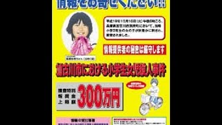 【驚愕】 その28 加古川小2女児殺害事件 世にも奇妙な事件簿 [upl. by Kei36]