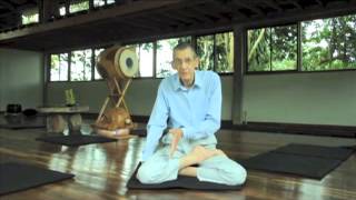 The zazen posture method and precautions [upl. by Yeleek]