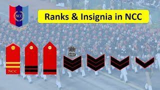 NCC Ranks and Insignia  Ranks in NCC  NCC Ranks in Hindi  SUO JUO CQMS SGT CPL LCPL CDT [upl. by Scrivenor]