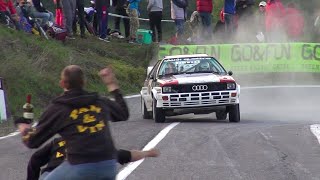 Best of Audi Quattro Rally  Pure Sound [upl. by Refitsirhc]