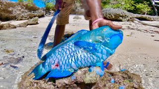 Parrot Fish Catch n Cook with Natives [upl. by Geraldine]