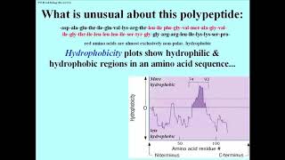 287 Hydropathy Predicts Hydrophobic Domains and Membrane Proteins [upl. by Iphagenia774]