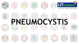 Pneumocystis [upl. by Darleen]