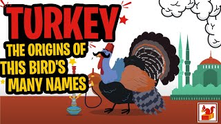 Turkey  The Origins of this Birds Many Names  in a Nutshell [upl. by Sarita]