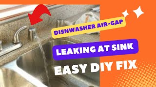 ✨ DISHWASHER DRAINS WATER AT AIR GAP  EASY FIX ✨ [upl. by Cusack]