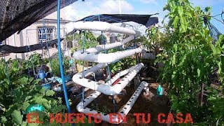 COMO HACER UN HUERTO GRANDE EN TUBO PVC [upl. by Royce]