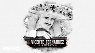 Vicente Fernández  A Mi Nieto Cover Audio [upl. by Aztiray]