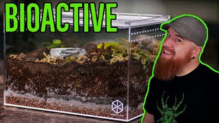 How To Build a Tarantula Bioactive Enclosure  YOU CAN DO IT [upl. by Uriah476]