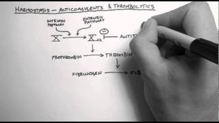 How does aspirin work [upl. by Eshelman155]