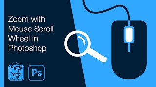 Zoom with Mouse Scroll Wheel in Photoshop [upl. by Asihtal559]