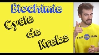 Cours de biochimie cycle de Krebs [upl. by Brand]