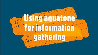 How To Use Aquatone For Information Gathering About A Target [upl. by Aihseuqal]