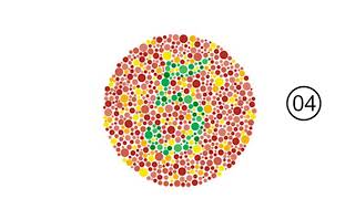 Color Blindness Test [upl. by Ewolram]