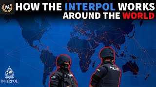 What Is The INTERPOL [upl. by Rebliw]