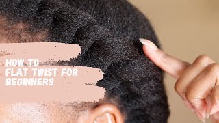 HOW TO FLAT TWIST NATURAL HAIRBEGINNER FRIENDLY [upl. by Ahsened]