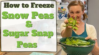 How to Freeze Snow Peas and Sugar Snap Peas [upl. by Ardnossac]