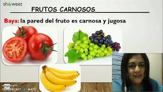 Tipos de frutos [upl. by Leuqar]